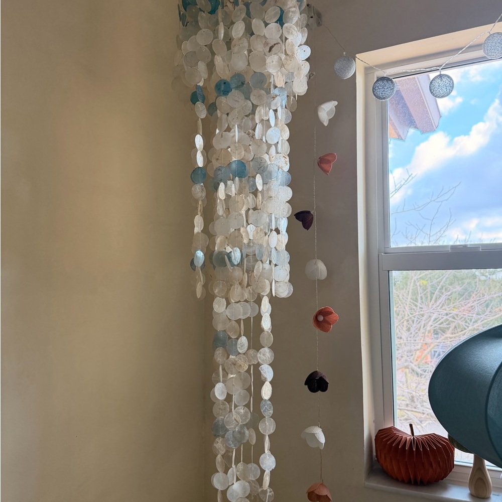 Coastal Shell Chandelier